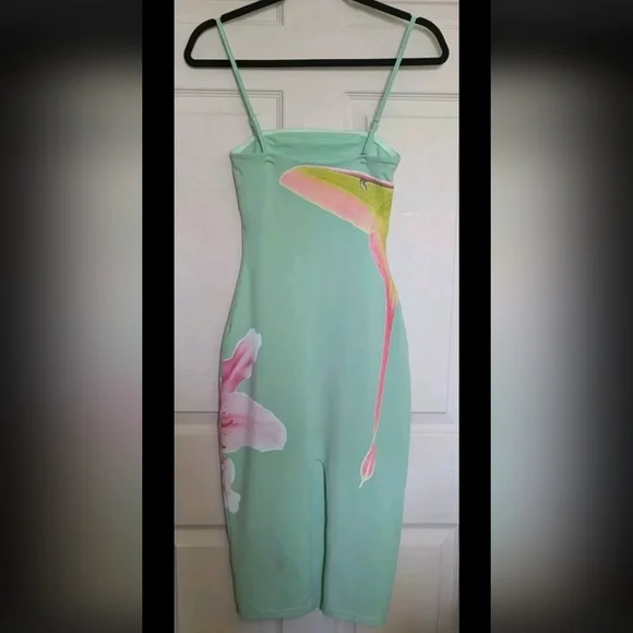 FINAL PRICE Tyler McGillivary Luna Lily Bodycon Dress XS Mint Midi Festival FINAL PRICE Tyler McGillivary Luna Lily Bodycon Dress XS Mint Midi Festival